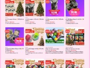 สนับสนุนสร้างแพลตฟอร์ม R Cheap “Support the creation of the R Cheap platform.”