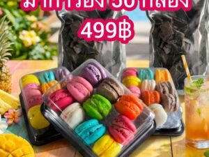 โปรวันเดียว มาการอง 50 กล่อง 499฿