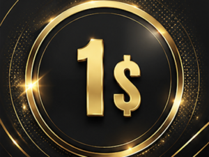 Bid 1$
