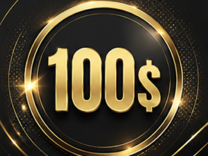 Bid 100$
