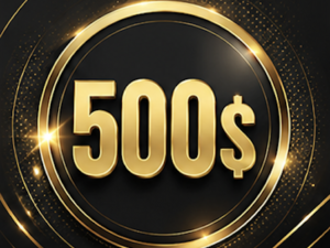 Bid 500$