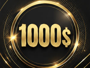 Bid 1000$